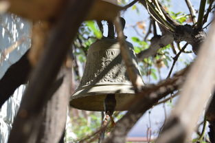 kaiyun 开云体育-NBA球员转会市场动态，nba转会名单