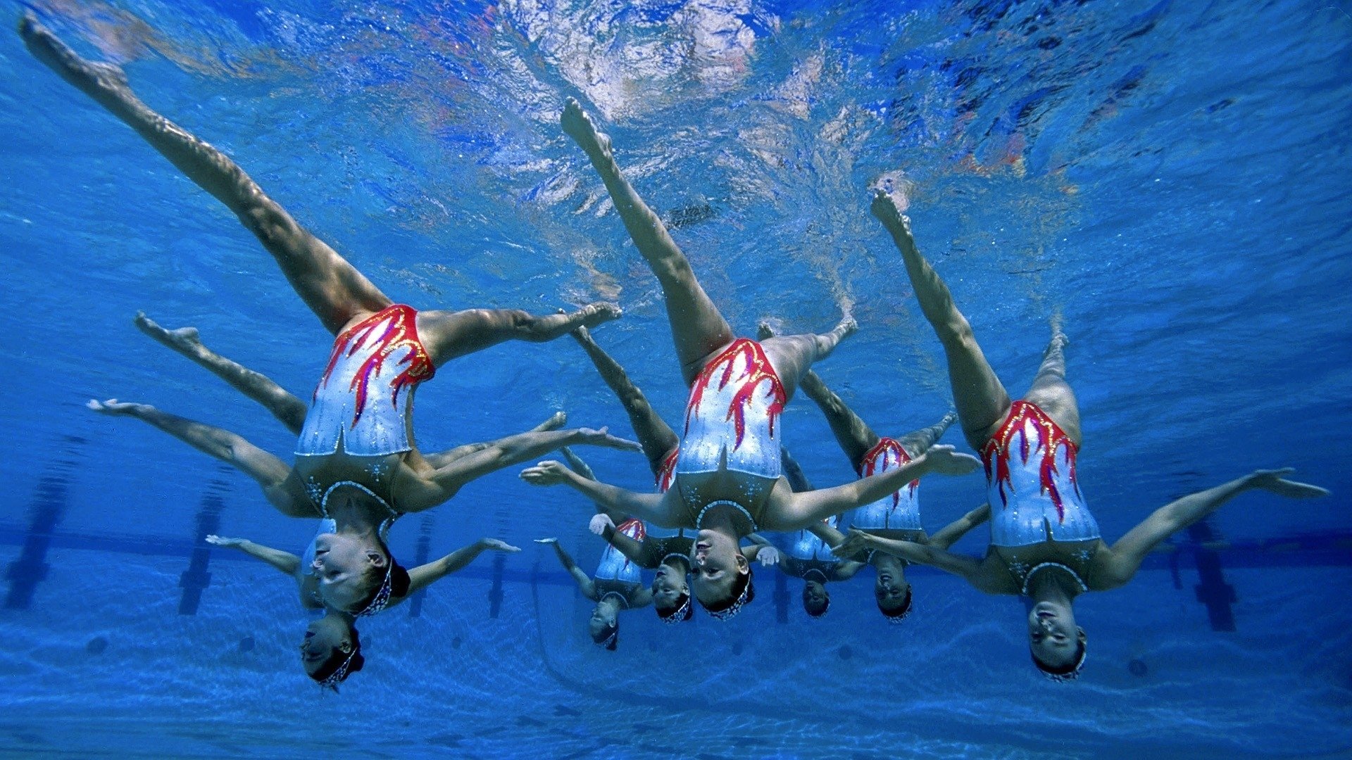 世界骑术比赛：马术选手突破自我纪录，马术骑士